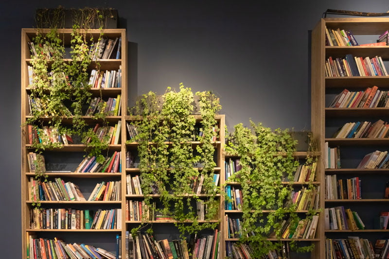 The-best-books