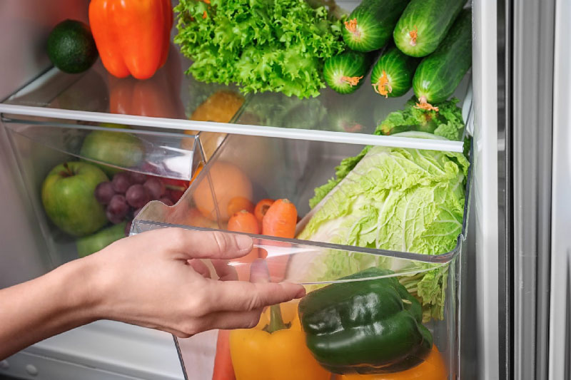 راهنمای نگهداری یخچال فریزر + انواع مختلف یخچال