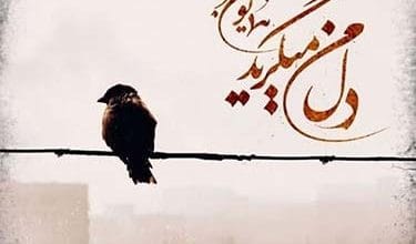 آهنگ‌ها