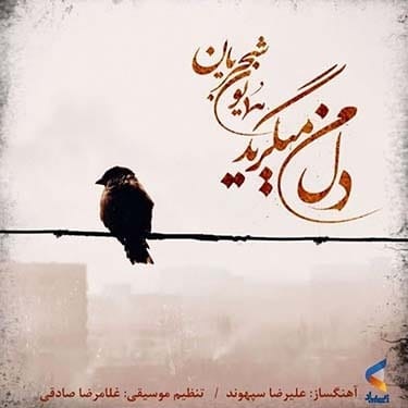 آهنگ دل من میگرید با صدای همایون شجریان